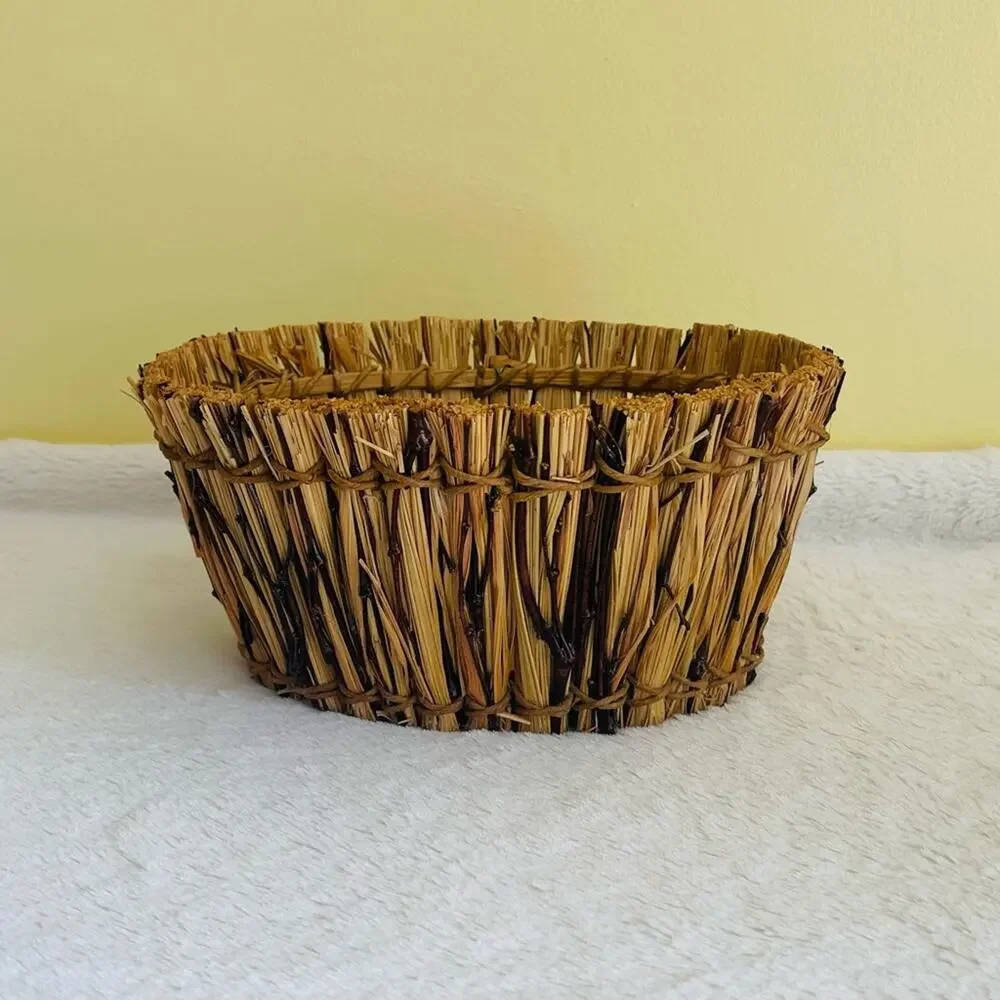 Pier 1 Imports Basket Storage Organizer Bath Office Decorative
